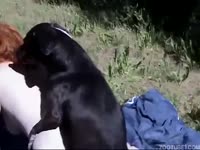 Outdoor dog sex with a naked bitch